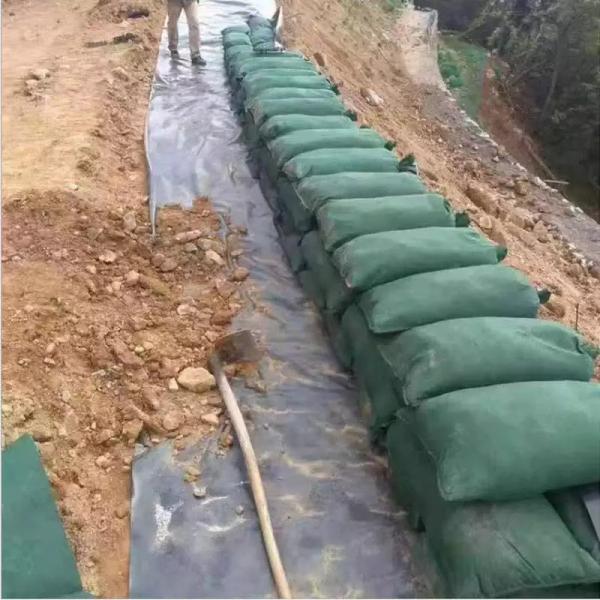 Hydro-Shield Emergency Eco-Bag: Rapid Response to Flooding