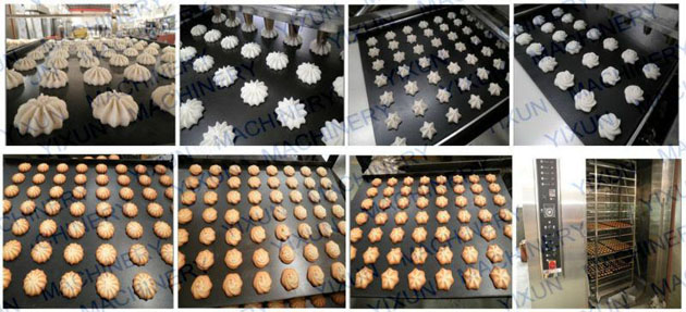 Quest Protein Cookie Chocolate Chip Butter Cookie Machine Jenny Cookie Making Machine 0,75 КВт Сервомотор полуавтоматический