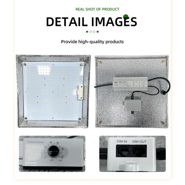 La luz de la tabla cuántica de invernadero para crecer para la tienda de cultivo