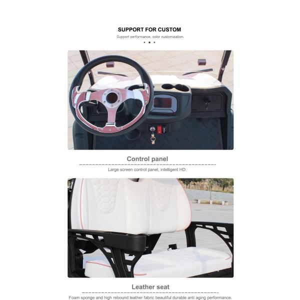 Electric Hunting Golf Cart for 6 Passengers Integrated Battery Driving Mileage 70-90km
