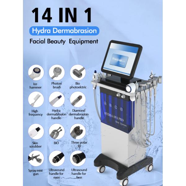 14 In 1 Multifunctional Oxygen Hydrafacial Machine 300w skin peeling machine