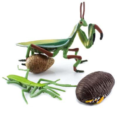 4 PCS Insecto realista Manteiga Modelo do ciclo de vida animal Figura Toppers de bolo Jogos de aprendizagem de desenvolvimento para meninos meninas crianças