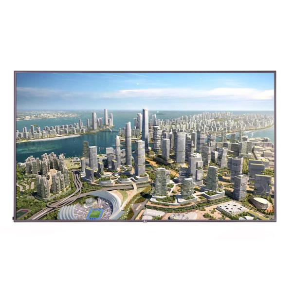 1080p LCD TV Display