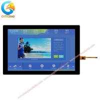 10.1 pouce Module LCD automobile 1280x800 Haute résolution IPS tft