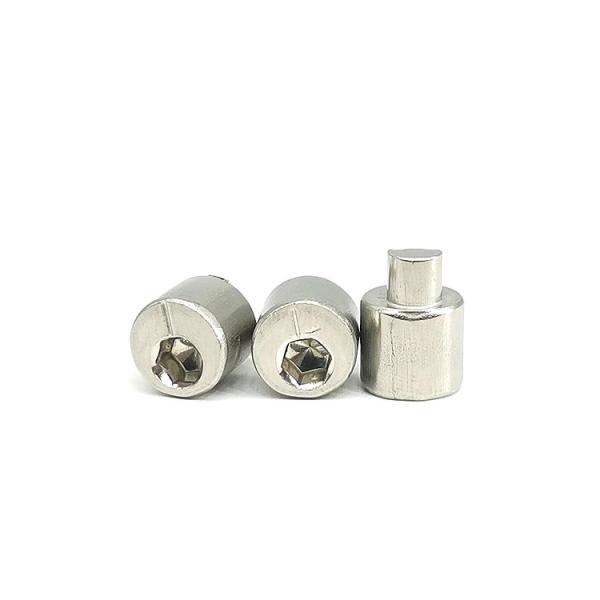 O parafuso de ajuste excêntrico de aço inoxidável 4.9X13 do padrão do GB lustrou o material SUS304