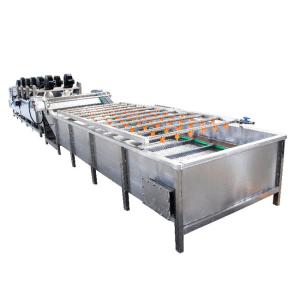 Fresh Fruit Mango Apple Cleaning Machine 400kg Air Bubble Washing Machine