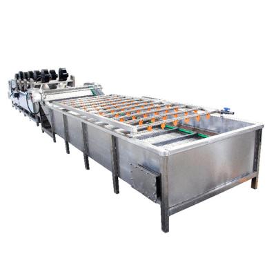 Máquina de limpeza de maçãs de manga fresca Máquina de lavagem de bolhas de ar de 400 kg