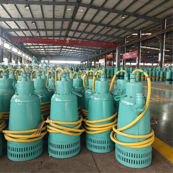 Flood Removal And Agricultural Portable Submersible Water Pump 15m³/H 30m 4kw 1hp-10hp