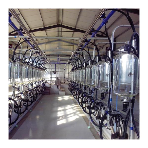 herringbone type 5T/h 20 Unit Milking Parlour Low Noise Automatic Milking Parlour