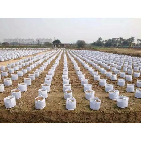 Сад засаживая иглу сумки пробил ткань толщиной 2mm Breathable Eco Geotextile дружелюбное