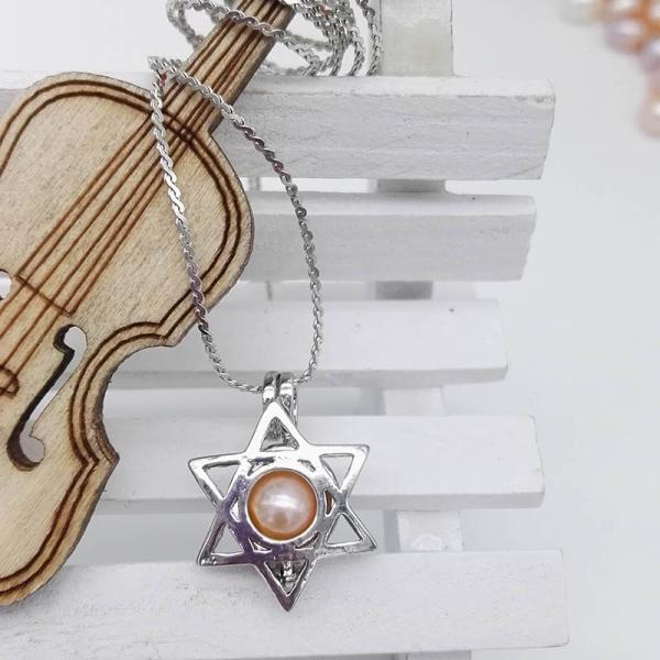 Cage Pendant Essential Oil Diffuser Locket For Oyster Pearl Girl Women Gits Dropshipping