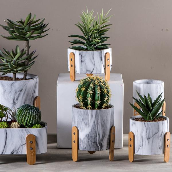 Круглые баки Succulents цементируют цветочных горшков столешницы плантаторов бака цветочных горшков баки мини декоративные