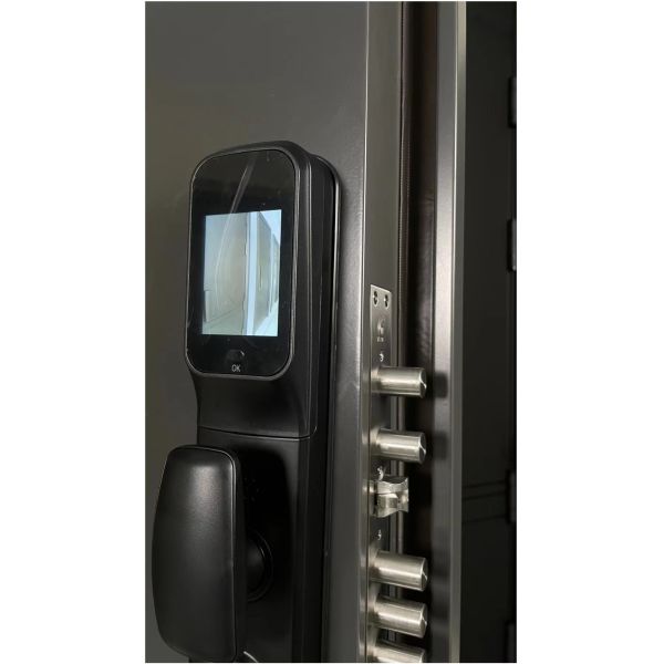 Polymer Steel Door Honeycomb Paper Infilling Security Entrance Value Pricing