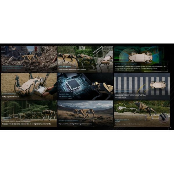 Four-legged Robotic Dog Platform with Mechanical Stability for B2B Applications