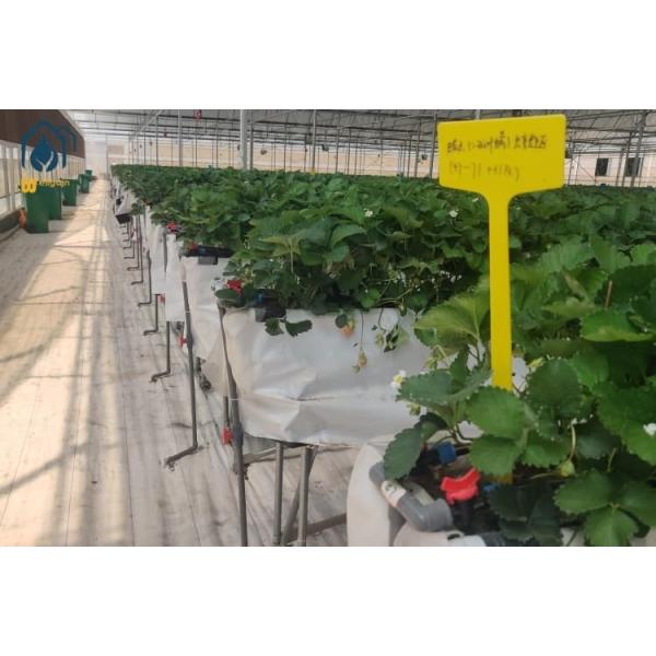 PVC Hydroponic Strawberry Gutters Indoor Greenhouse Troughs Environmentally Friendly
