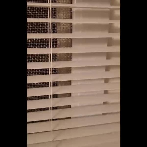 Modern Design Shutters for Waterproof and Antifouling Aluminum Louver Curtain in Toilet Kitchen Balcony Living Room