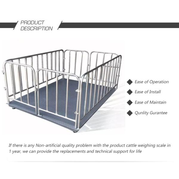 220V AC 9V DC Livestock Weighing Scales 500KG Capacity Electronic Easy Operation