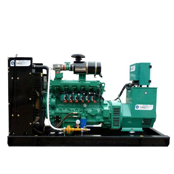 Nature Gas Biogas LPG Gas Generator