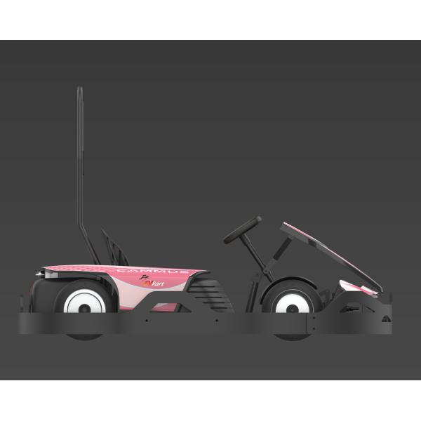 Мотор вращающего момента 7.2Nm парка атракционов высокий электрический идет Kart 750w 28km/H