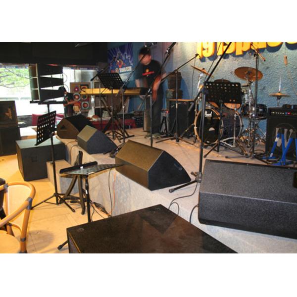 Coaxial Stage Monitor Speakers System 10 Inch 2 Way Audio System Outdoor Loudspeaker
