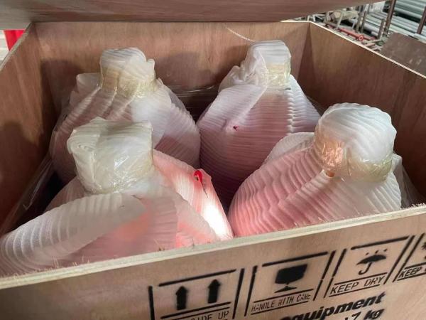 Novec1230 Clean Agent Fire Suppression System for Data Centers