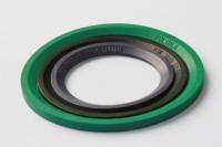 V80 phoque Ring Anti Corrosion de pompe des anneaux NBR FKM de profil de la dureté DIN 3869