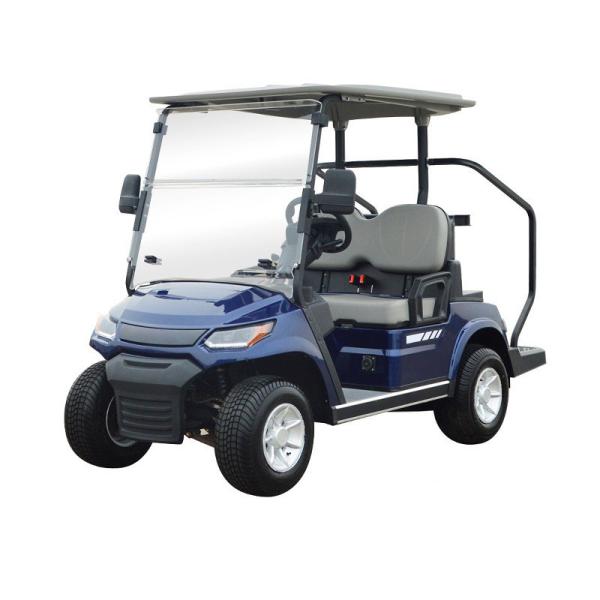 2 4 6 Seater Golf Car Battery Power Electric Golf Cart Lead Acid Or Lithium Battery