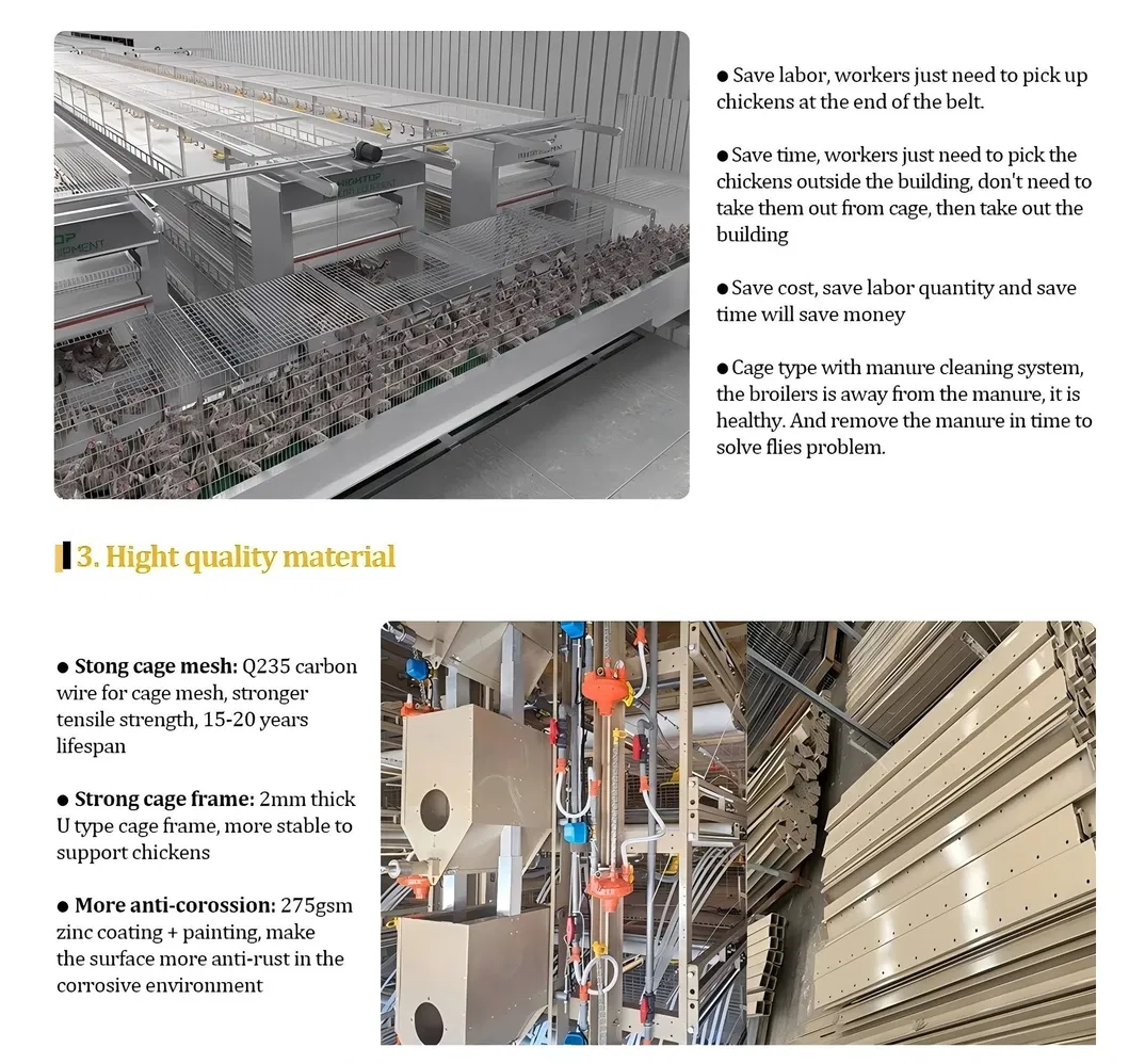 Automatic Chain Type Broiler Cage Equipment Chicken Harvest Cage For Poultry Farming