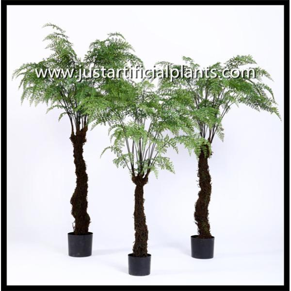Размер тропической искусственной на открытом воздухе пальмы папоротников экологический подгонянный
