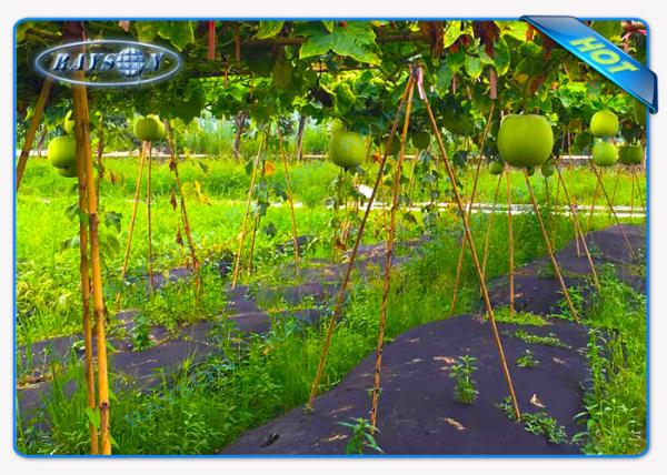 Tela não tecida vegetal do controle de ervas daninhas da terra da tampa da agricultura da barreira da erva daninha do jardim de Enviro