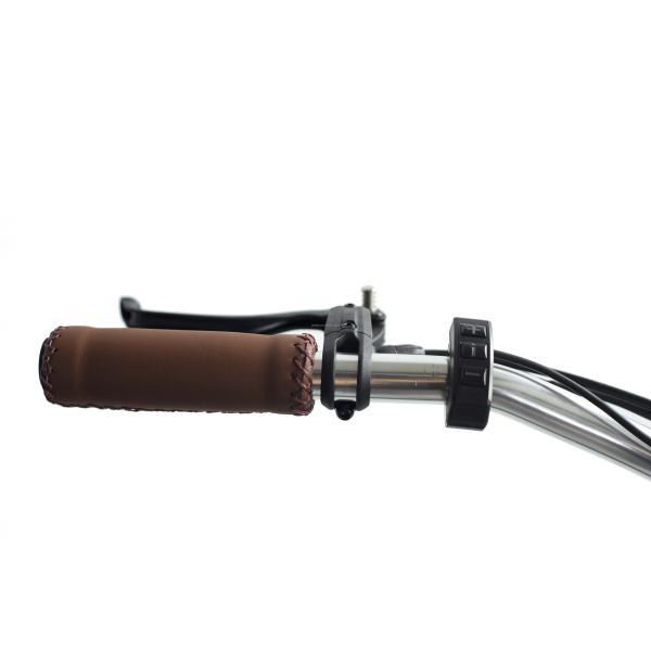 Front Hub Motor Electric Rickshaw with 48V 750W 17AH Lithium Battery and Big Fat Tire