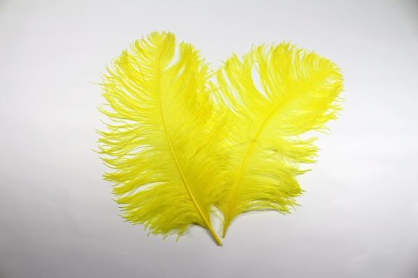 Trajes de Carnaval Decoração de milhares Pena de avestruz Plumas de avestruz Multicolor