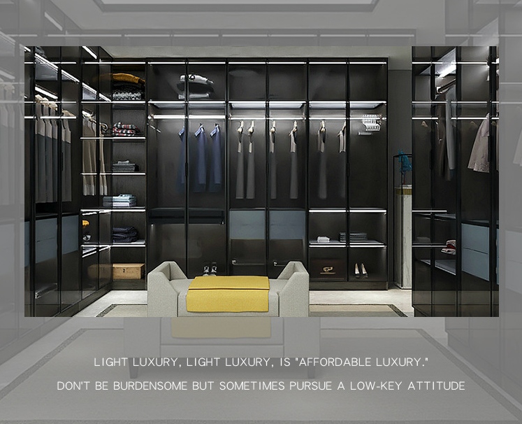 Custom Designed for Wardrobe Closet Modern LED Lighted Aluminum Metal Storage Shelves Glass Coating Technology Clear Wardrobe