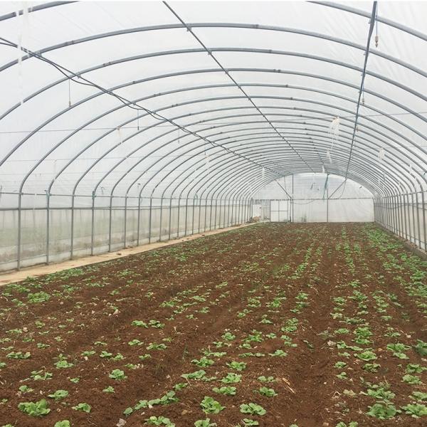 LiTai Greenhouse High Tunnel Greenhouse for Agricultural Plants Growing Instruction