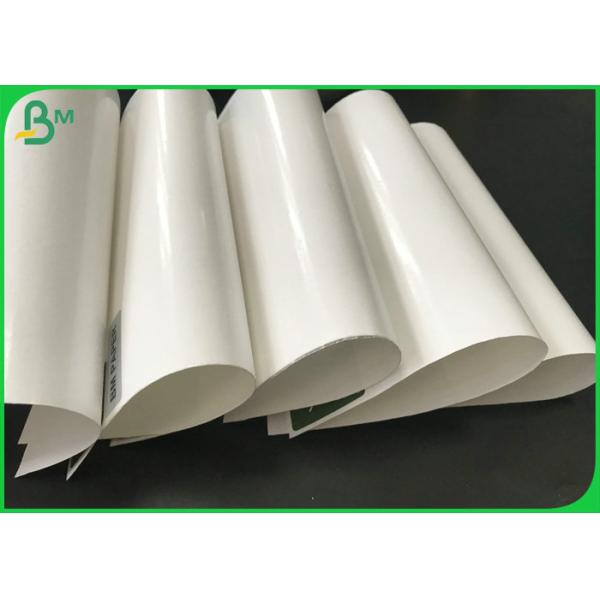 pe coated paper Greaseproof PE Coated Paper , 160gsm+10g One Side Glossy Paper For Food packing