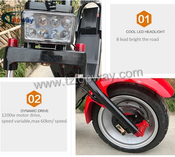 High Quality Halley 1500w Citycoco Scooter Electric Motorcycle