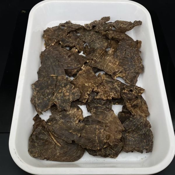 Bulk supply of authentic OUD Agarwood chips and powder ideal for perfume manufacturing and traditional incense crafting