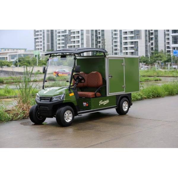 Green Color Large Capacity 2 Seater Custom Golf Cargo Can Transport Goods And Food