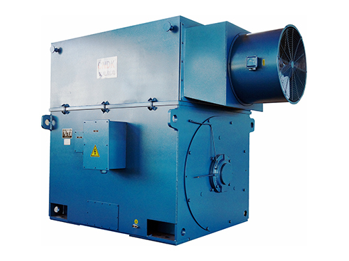 Variable Frequency Speed Regulation High Voltage Electric Motor 0-70HZ