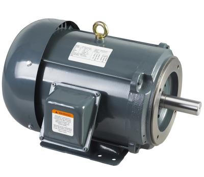 TEFC NEMA High Efficiency, EPACT Standard, Three Phase AC Motor