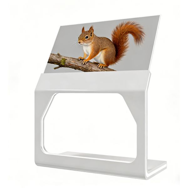 55 Inch Angled Transparent OLED Touch Screen For Interactive Commercial Display Solutions
