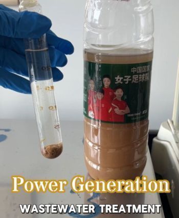 Produit de l'usine CAS 9003-05-8 Traitement de l'eau chimique Polyacrylamide floculant cationique