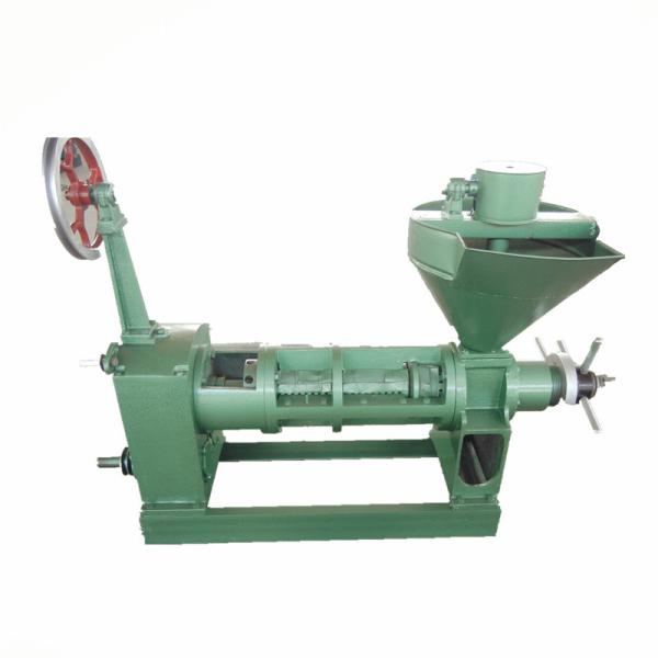 6YL-100 screw oil press, oil expeller. Groundnut, peanut, sesame seed oil press, agricultural oil press ,bio oil press