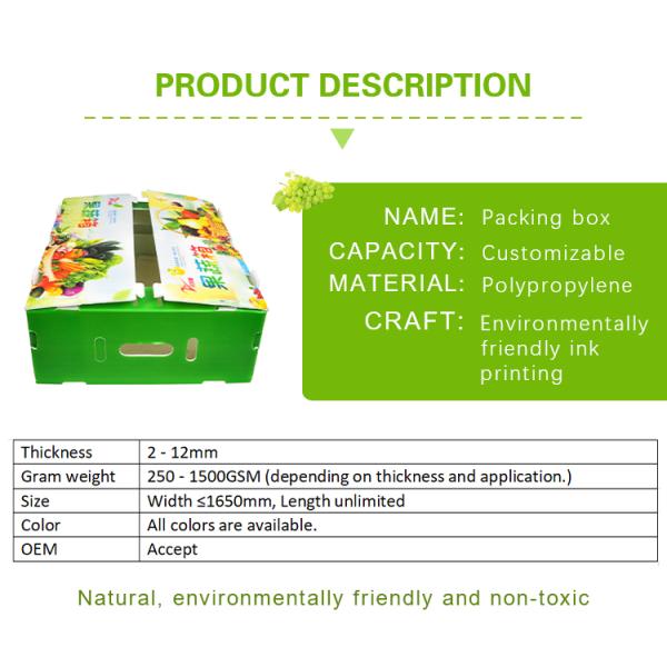 Плод гофрировал коробку рифленого листа PP брокколи пластиковой упаковки