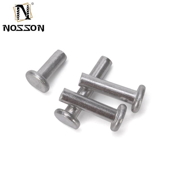 Fast and Solid Performance DIN Standard Solid Round Head Rivets Stainless Steel 304 316 with Bright Finish at Direct Supply