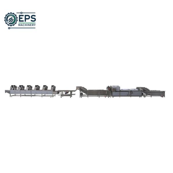 Customized Usage Vegetable and Fruit Cleaning Line for Advanced Streamlined Operations