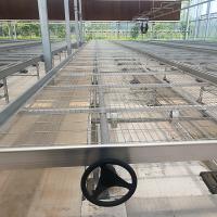 Alimentação de plantas vegetais e vegetais