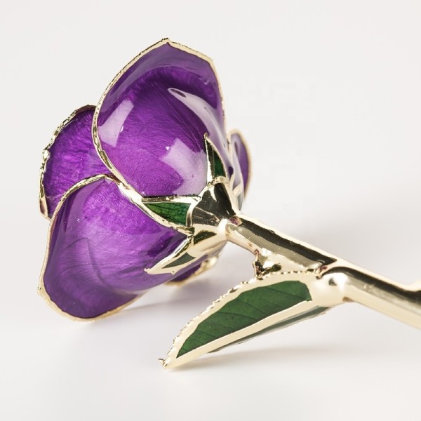 24k Gold Trimmed Rose  Preserved Fresh Flower  Resin Preservation Eternal Rose Mother's Day Valentine's Day Christmas Gif