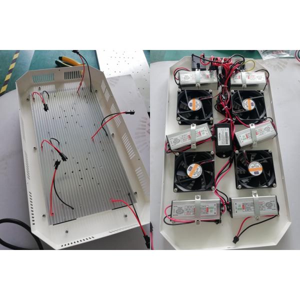 300W 4.2kgs LED COB Grow Light Flowering Heat Sink Plate Fan 24hrs Switch 300w Led Grow Light