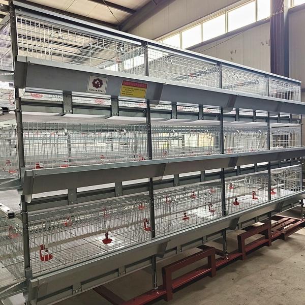 Poultry Farm Equipment Chicken Broiler House Design Broiler Chicken Cage System Broiler Farm Chicken Coop